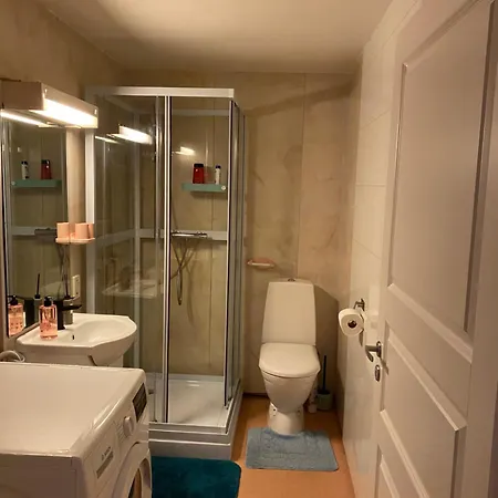 Cozy One Bedroom At Premises *