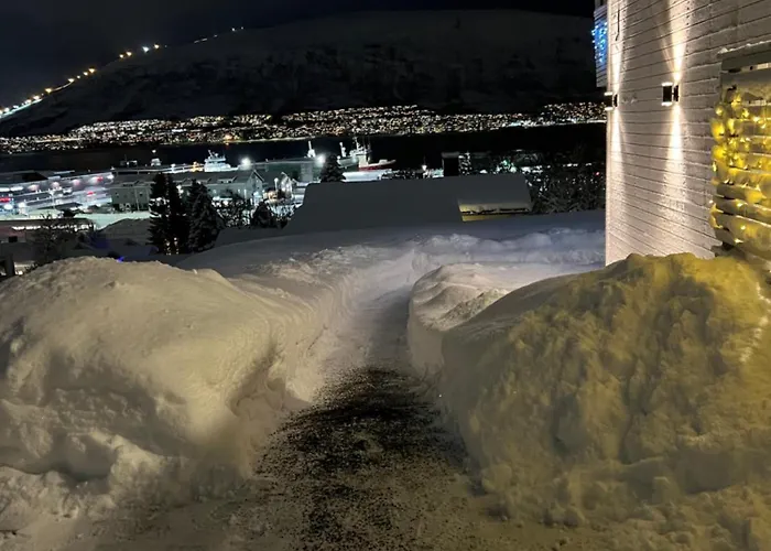 Cozy One Bedroom At Premises *